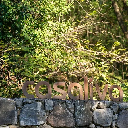 Villa Casaliva With Private Pool Torri Del Benaco